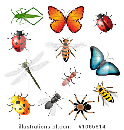 Royalty-Free (RF) Insects Clipart Illustration by vectorace - Stock Sample #1065614