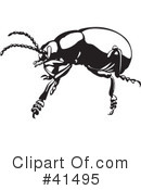 Insects Clipart #41495 by Prawny