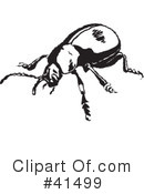 Insects Clipart #41499 by Prawny