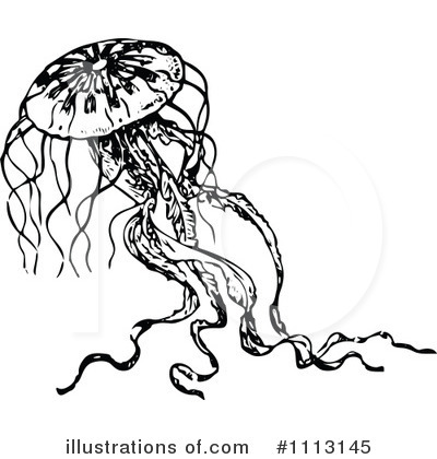 Royalty-Free (RF) Jellyfish Clipart Illustration by Prawny Vintage - Stock Sample #1113145