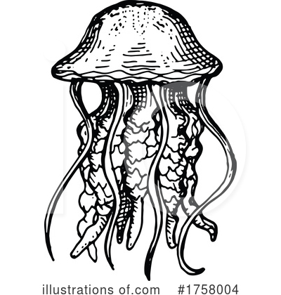 Jellyfish Clipart #1758004 by Vector Tradition SM