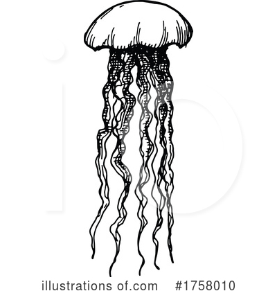 Jellyfish Clipart #1758010 by Vector Tradition SM