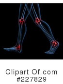 Joints Clipart #227829 by KJ Pargeter
