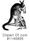 Kangaroo Clipart #1146855 by Prawny Vintage