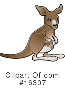 Kangaroo Clipart #16307 by AtStockIllustration