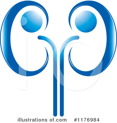 Kidneys Clipart #1176984 by Lal Perera