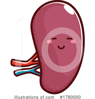 Kidneys Clipart #1780000 by Vector Tradition SM