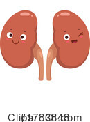 Kidney Clipart #1783848 by Vector Tradition SM