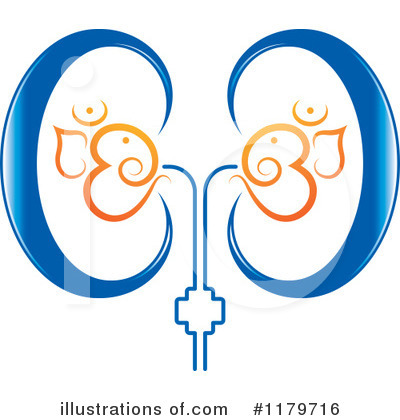 Kidneys Clipart #1179716 by Lal Perera