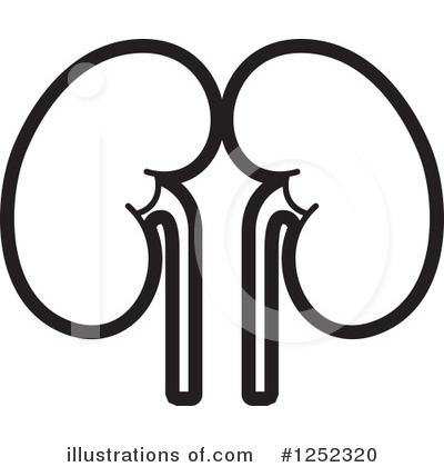 Kidney Clipart #1252320 by Lal Perera