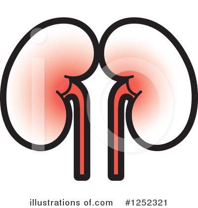 Royalty-Free (RF) Kidneys Clipart Illustration by Lal Perera - Stock Sample #1252321