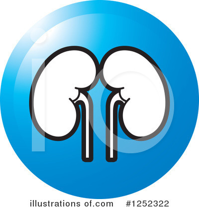 Kidneys Clipart #1252322 by Lal Perera