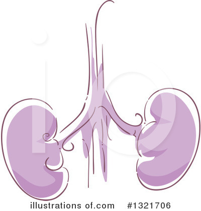 Kidneys Clipart #1321706 by BNP Design Studio