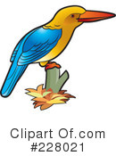 Kingfisher Clipart #228021 by Lal Perera