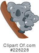 Koala Clipart #226228 by BNP Design Studio