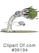 Koala Clipart #36194 by Dennis Holmes Designs