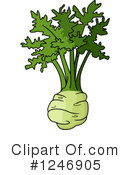 Kohlrabi Clipart #1246905 by Vector Tradition SM