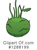 Kohlrabi Clipart #1288199 by Vector Tradition SM