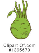 Kohlrabi Clipart #1395670 by Vector Tradition SM