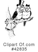 Kookaburra Clipart #42835 by Dennis Holmes Designs