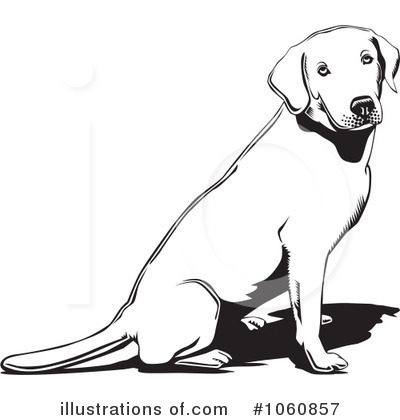 Labrador Clipart #1060857 by David Rey