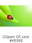 Ladybug Clipart #45362 by Oligo