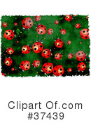 Ladybugs Clipart #37439 by Prawny