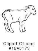 Lamb Clipart #1243179 by AtStockIllustration