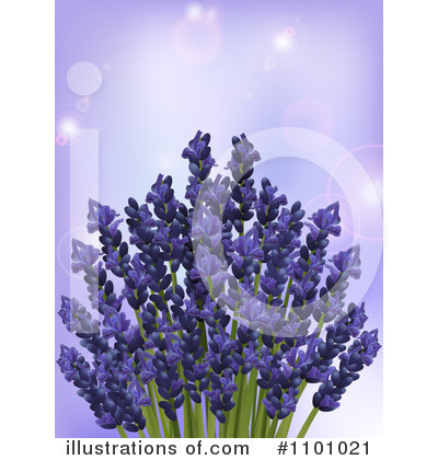Royalty-Free (RF) Lavender Clipart Illustration by elaineitalia - Stock Sample #1101021