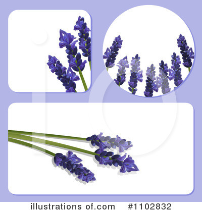 Lavender Clipart #1102832 by elaineitalia