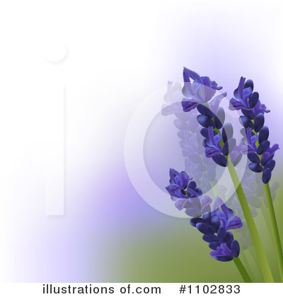 Royalty-Free (RF) Lavender Clipart Illustration by elaineitalia - Stock Sample #1102833