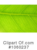 Leaf Clipart #1060237 by Kenny G Adams