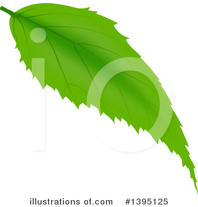 Royalty-Free (RF) Leaf Clipart Illustration by dero - Stock Sample #1395125