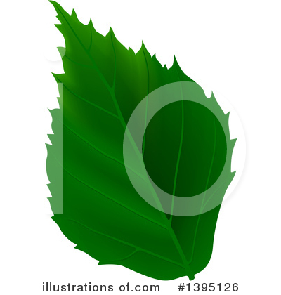 Royalty-Free (RF) Leaf Clipart Illustration by dero - Stock Sample #1395126