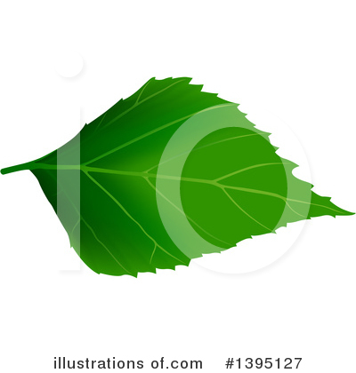 Leaf Clipart #1395127 by dero
