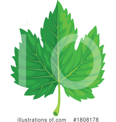 Maple Leaf Clipart #1808178 by Vector Tradition SM