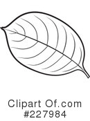 Leaf Clipart #227984 by Lal Perera