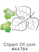 Leaf Clipart #44784 by Lal Perera