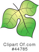 Leaf Clipart #44785 by Lal Perera