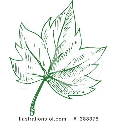 Maple Leaves Clipart #1388375 by Vector Tradition SM