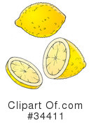 Lemon Clipart #34411 by Alex Bannykh
