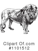 Lion Clipart #1101512 by BestVector