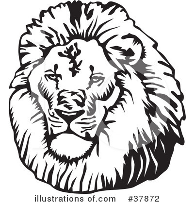 Lion Clipart #37872 by David Rey