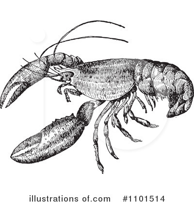Royalty-Free (RF) Lobster Clipart Illustration by BestVector - Stock Sample #1101514