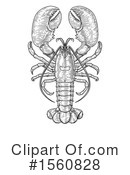 Lobster Clipart #1560828 by AtStockIllustration