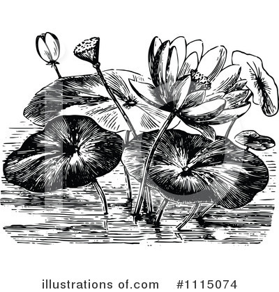 Royalty-Free (RF) Lotus Clipart Illustration by Prawny Vintage - Stock Sample #1115074