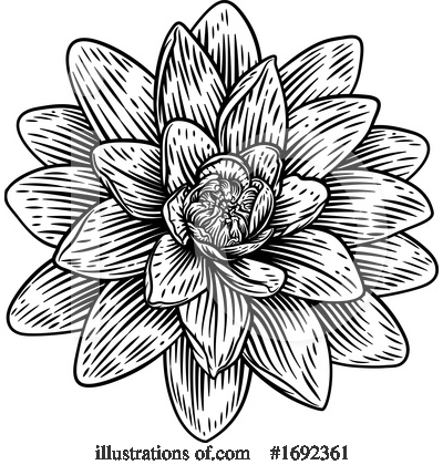 Water Lily Clipart #1692361 by AtStockIllustration