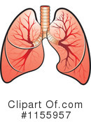 Lungs Clipart #1155957 by Lal Perera