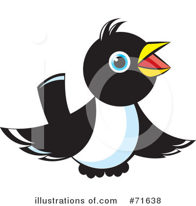Magpie Clipart #71638 by Lal Perera