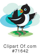 Magpie Clipart #71642 by Lal Perera